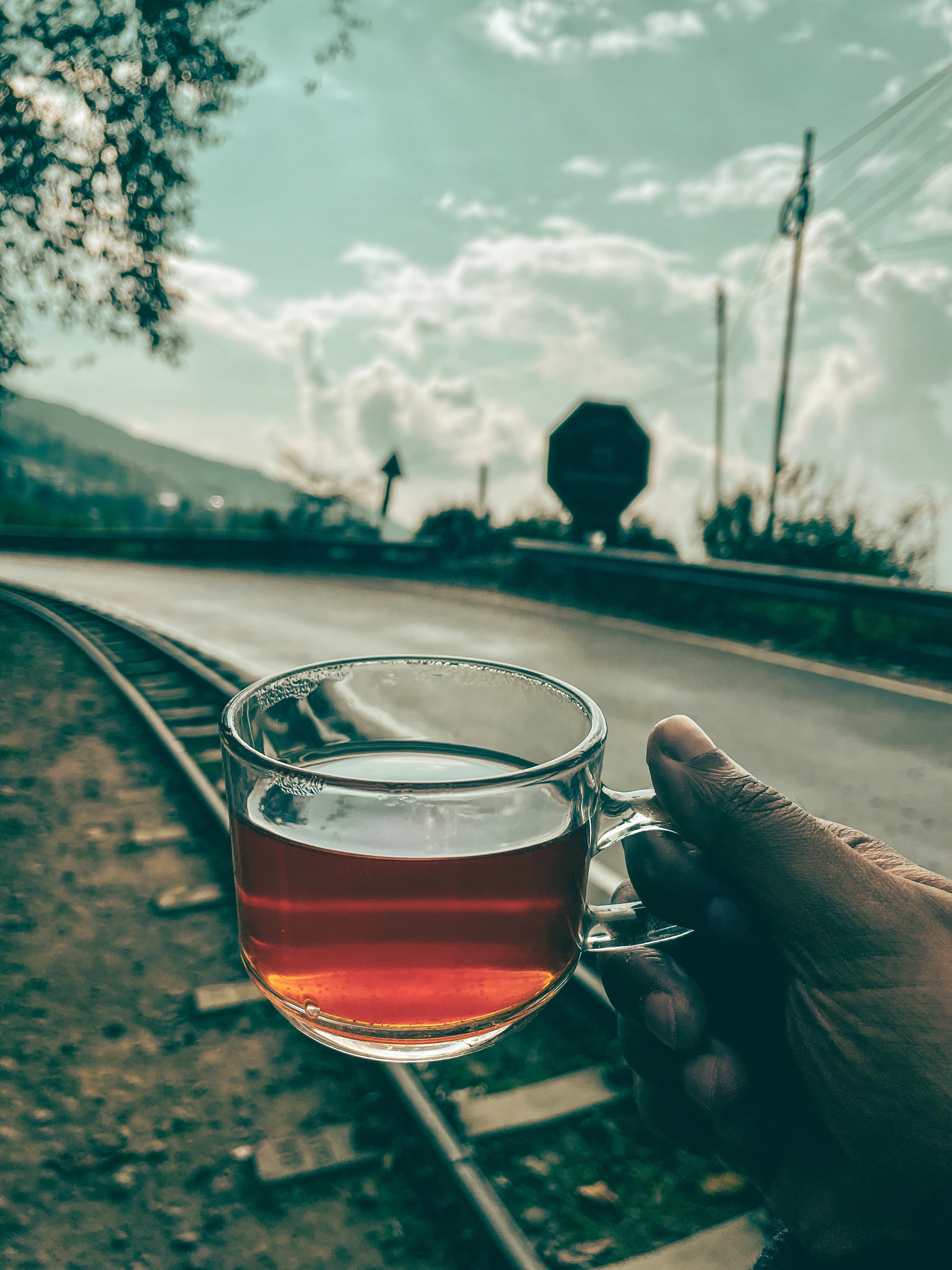 Darjeeling Tea